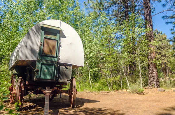 Covered Wagon in a Forest — Stock Photo, Image