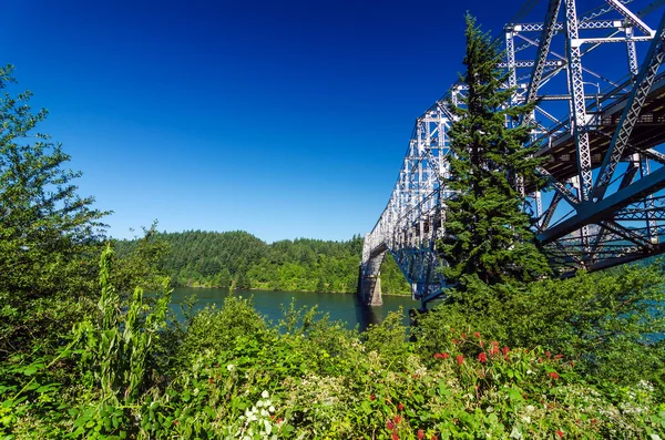 Vegetazione e Ponte — Foto Stock