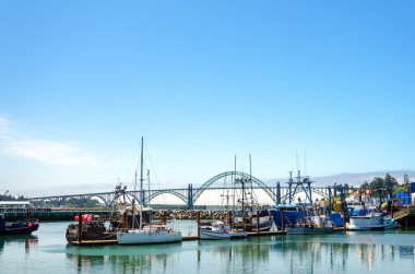 Boats and Bridge clipart