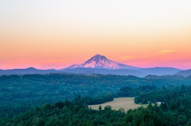 Purple Mount Hood clipart