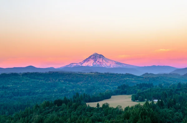 Purple Mount Hood — Stock Photo, Image