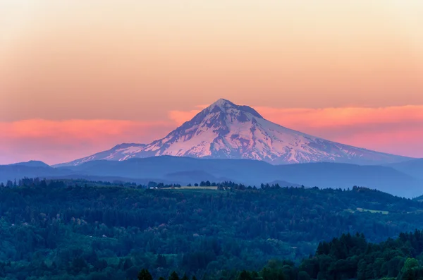 Mount Hood Sunset Closeup — Stock Photo, Image