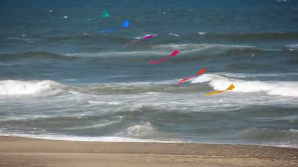 Fast Moving Kites — Stock Video