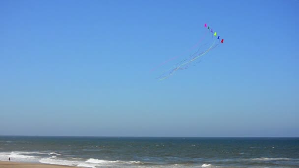 Vliegeren op het strand — Stockvideo