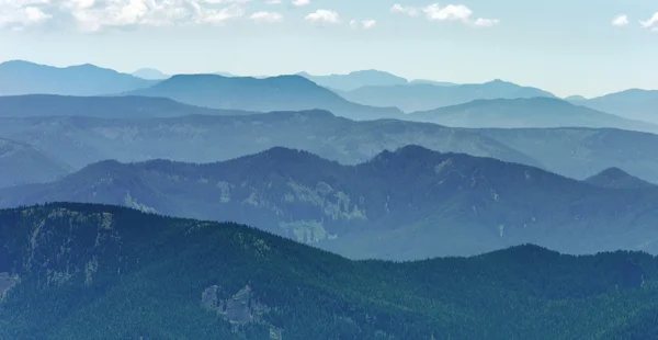 Colline coperta di foresta — Foto Stock