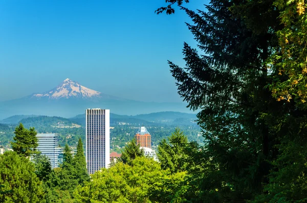 Portland e Mt Hood — Foto Stock
