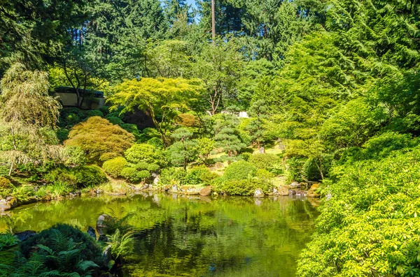 Jardín exuberante y estanque — Foto de Stock