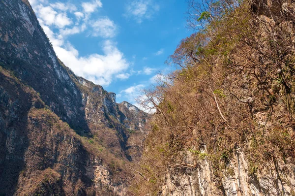 Sumidero 협곡의 벽 — 스톡 사진