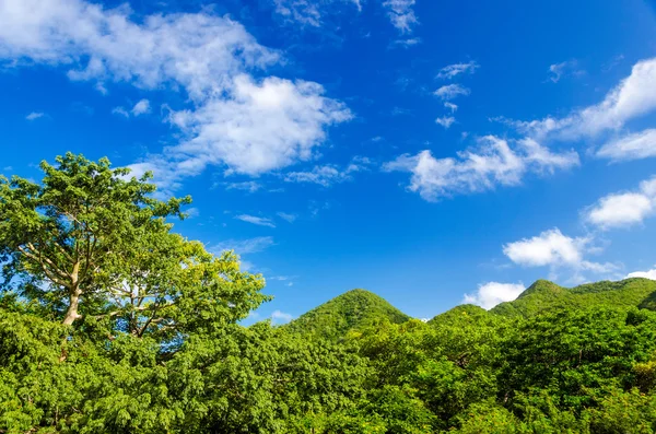 Colline verdi e cielo azzurro — Foto Stock