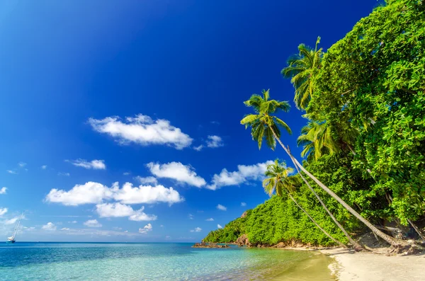 Schöner tropischer Strand — Stockfoto