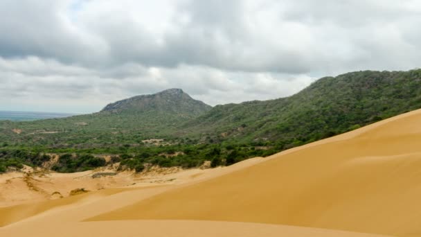 Panorámica del lapso de tiempo de una duna de arena — Vídeo de stock