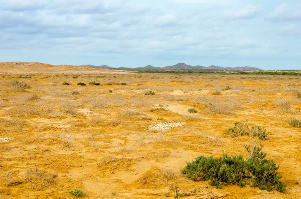 Paisaje del desierto —  Fotos de Stock