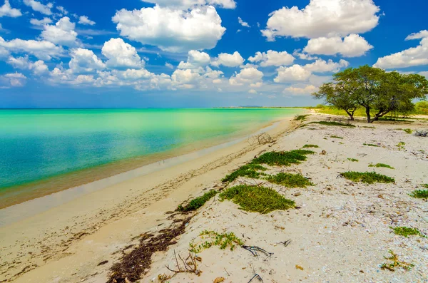 Stranden nära cabo de la vela — Stockfoto