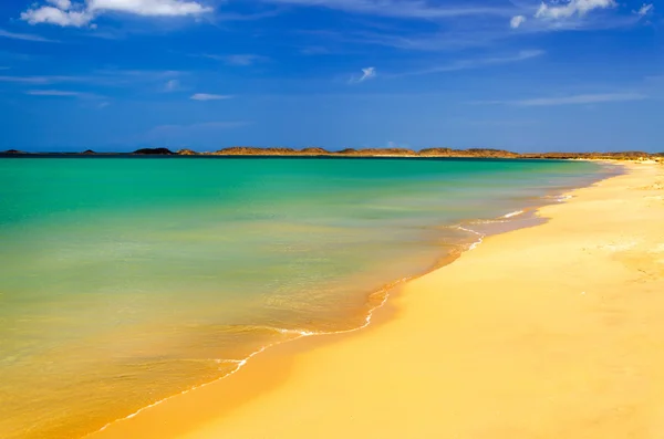 ชายหาดใน La Guajira — ภาพถ่ายสต็อก