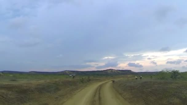 Conducir en un desierto al anochecer — Vídeo de stock