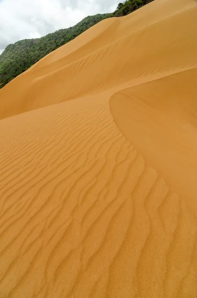 Vertical Sand Dune — Stock Photo, Image