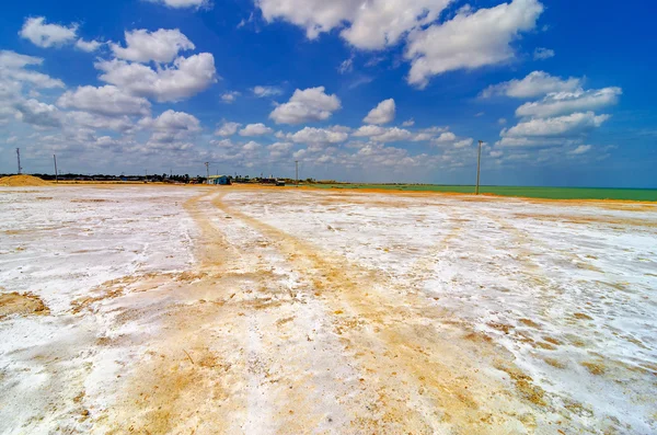 Coastal Salt Flats — Stock Photo, Image