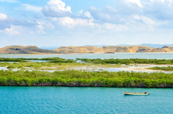 Mangrovie e Barca — Foto Stock