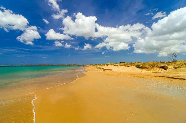 無人島のカリブ海のビーチ — ストック写真