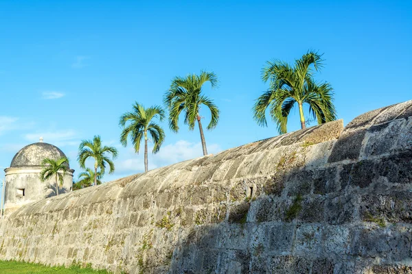 Стены и пальмы — стоковое фото