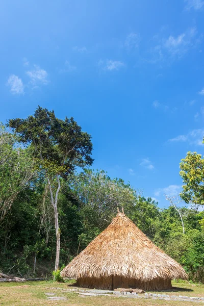 Indigenous Hut — Stock Photo, Image