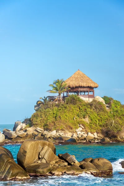 Palmera y Shack — Foto de Stock