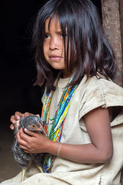Wiwa menina indiana — Fotografia de Stock
