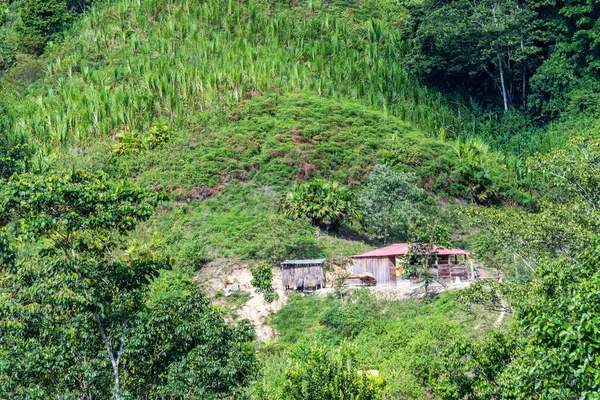 Hütte auf einem Hügel — Stockfoto