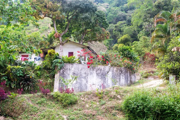 Petite maison sur une ferme — Photo