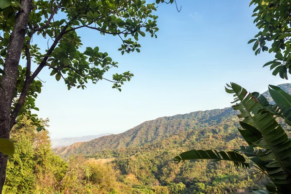 Colline verdi lussureggianti — Foto Stock