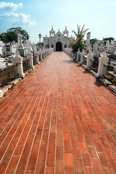 Mompox Cemetery — Stock Photo, Image