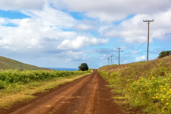 Easter Island Dirt Road — Stock Photo, Image