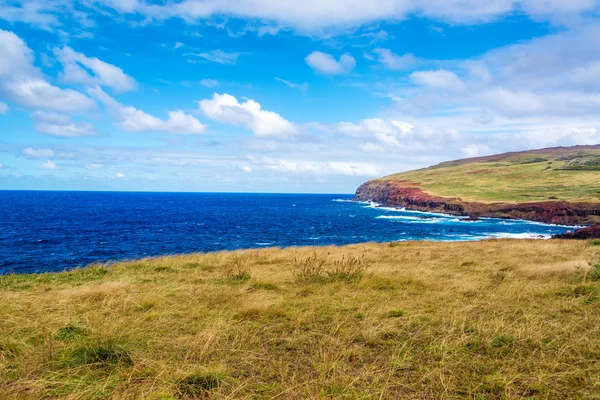 イースター島の海岸の風景 — ストック写真