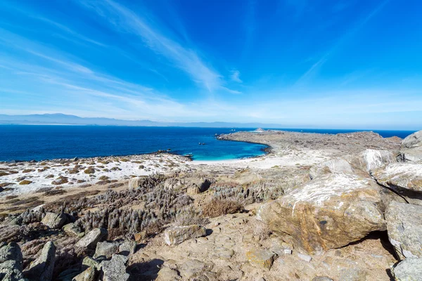 Defne ve mavi su damas Adası — Stok fotoğraf