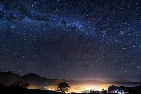 星星小羊驼，智利 — 图库照片