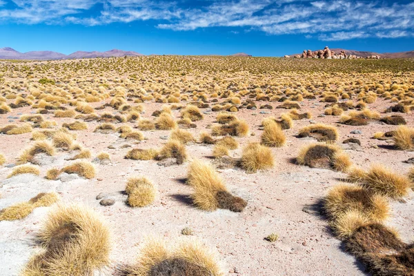 Bolivian Landscape — Stock Photo, Image