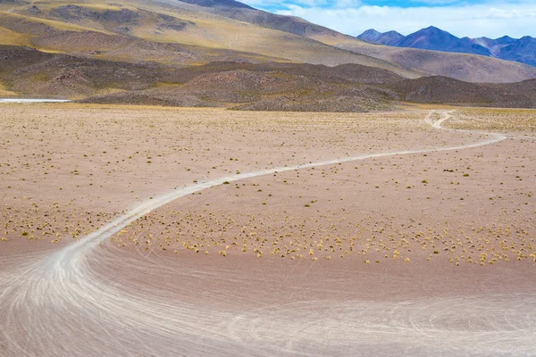 Huellas de neumáticos en un desierto — Foto de Stock