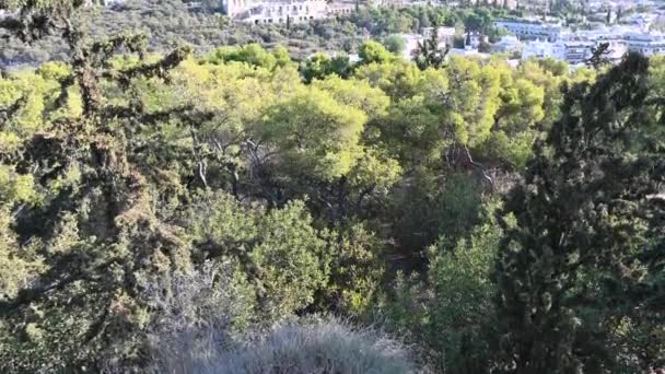 Kamera Beállítva Ráközelítve Akropoliszra Athénban Görögországban — Stock videók