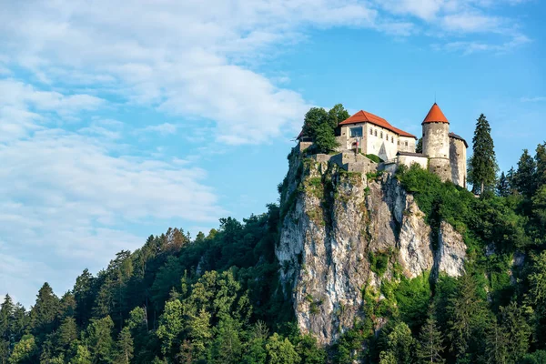 Widok Bled Castle Wysoko Wzgórzu Słowenii — Zdjęcie stockowe