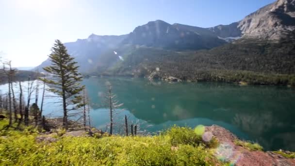 Beautiful View Saint Mary Lake Glacier National Park — Stock Video