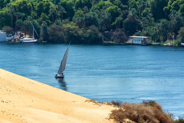 埃及阿斯旺尼罗河上的传统小船Felucca驶过沙丘和棕榈树 — 图库照片