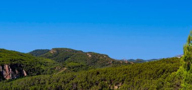 Gökyüzü arka planında, yaz güneşinin altında vahşi kırların panoramik manzarası. Seçici odaklanma ve düşük ihtimal. Doğa ve manzara kavramı.