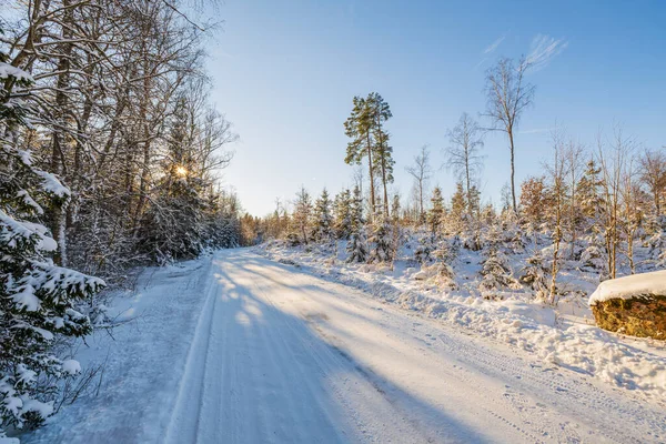 Prachtig Uitzicht Het Winterlandschap Buig Van Landweg Ijzige Bosbomen Zweden — Stockfoto