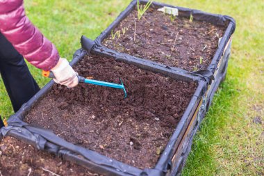 Yakından bakınca, adamın gevşek toprağı palet yakalı bahçe yatağında tırmıkla açtığı görülüyor. İsveç.