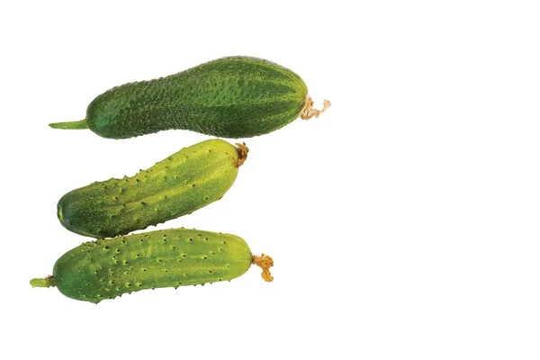 Nahaufnahme Von Grünen Gurken Isoliert Auf Weißem Hintergrund — Stockfoto