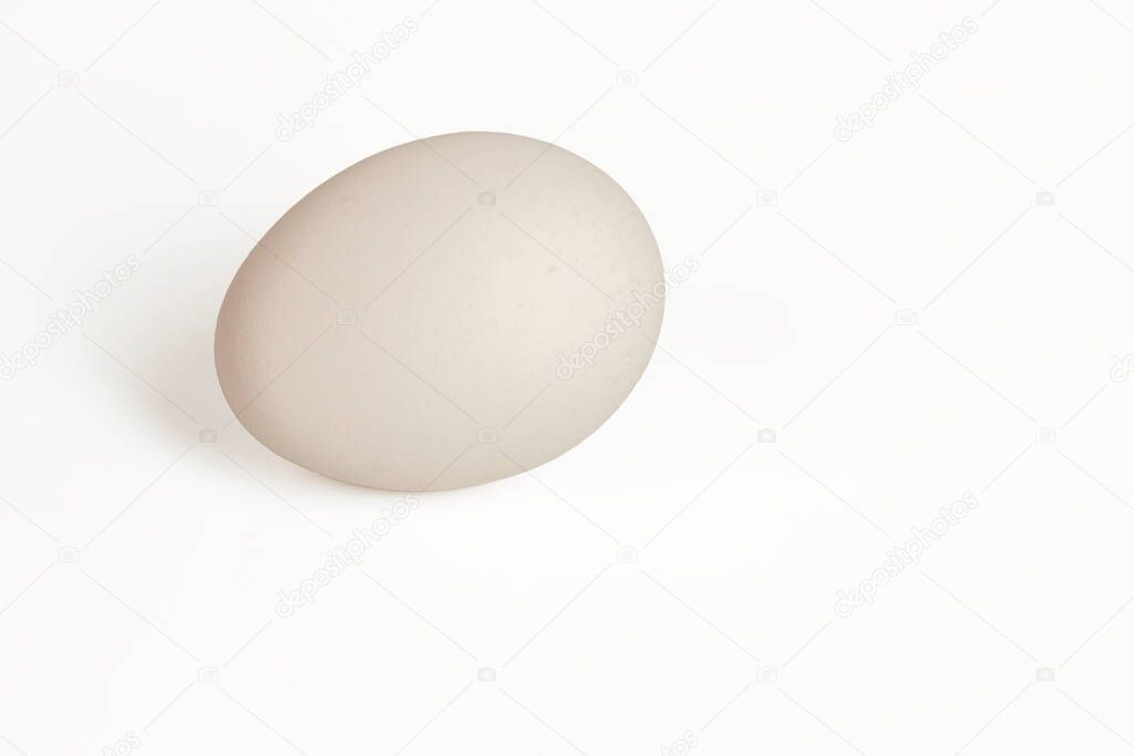 Close up view of white chicken egg isolated on white background. 