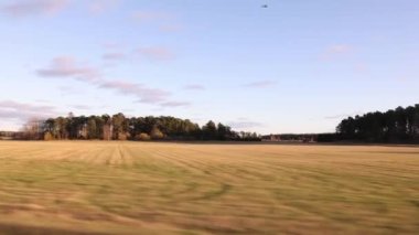 Güzel bir sonbahar günü ve arabanın manzarası. Tarlaları, orman ağaçları ve beyaz bulutlu mavi gökyüzü olan muhteşem bir manzara. İsveç.