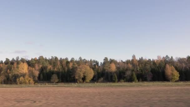 Prachtige Herfstdag Het Uitzicht Vanuit Auto Prachtig Landschap Met Velden — Stockvideo