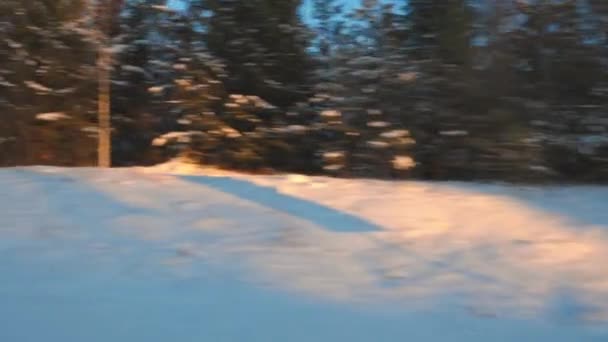Prachtige Winterdag Uitzicht Vanuit Auto Prachtig Landschap Met Bosbomen Blauwe — Stockvideo