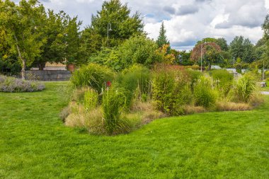 Parlak yaz gününde güzel doğa manzarası. Arka planda yeşil ağaçlar ve yüksek pantolonlardan oluşan küçük adaları olan yeşil çimenler. İsveç. 